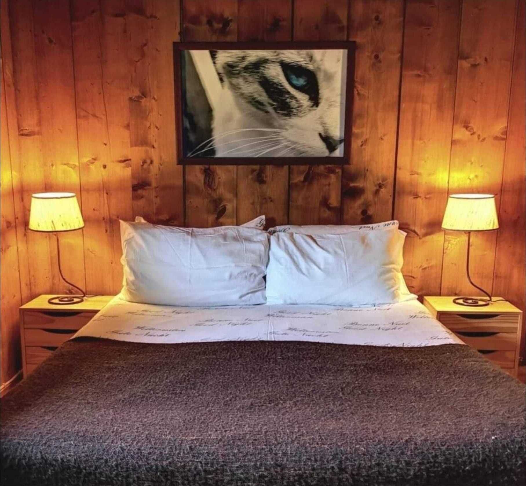 Habitació amb panells de fusta, un llit, dues làmpades de nit i un quadre al mur.