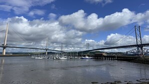 A bridge with multiple cables, a marina with boats, and a clear sky.