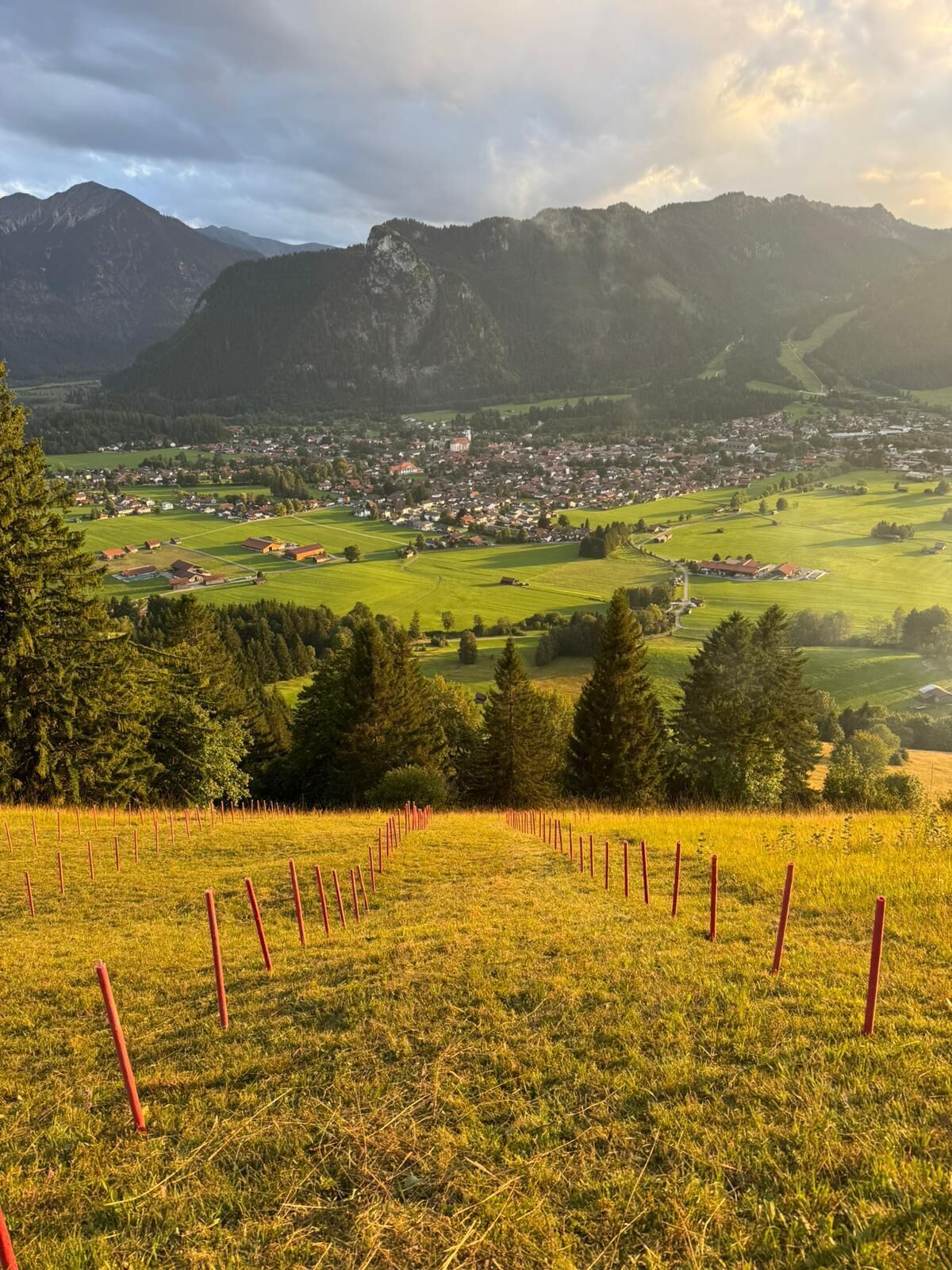 A rural landscape with a town, mountains, and a fenced field.