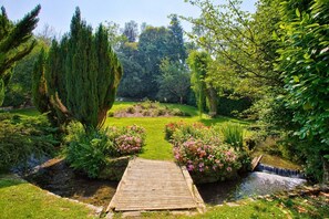 Un sentier en bois traverse un jardin luxuriant où poussent différentes espèces de plantes, et un petit ruisseau le longe.