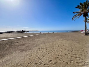 Uma praia com céu claro, uma palmeira e um cais ao fundo.
