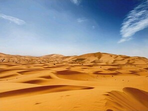 A desert landscape with sand dunes under a clear sky. - Tent 7... (Merzouga)