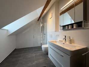 Shower, hair dryer, towels