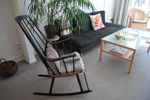 TV, books - The Friesen Cottage in Friedrichstadt with garden and terrace (Friedrichstadt)