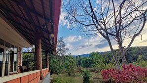 A covered outdoor area with a view of a lush landscape, a tree, and a brick wall.