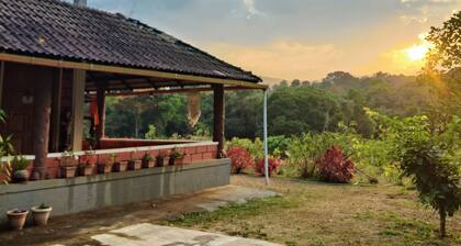 Tayra - The Glass Villa