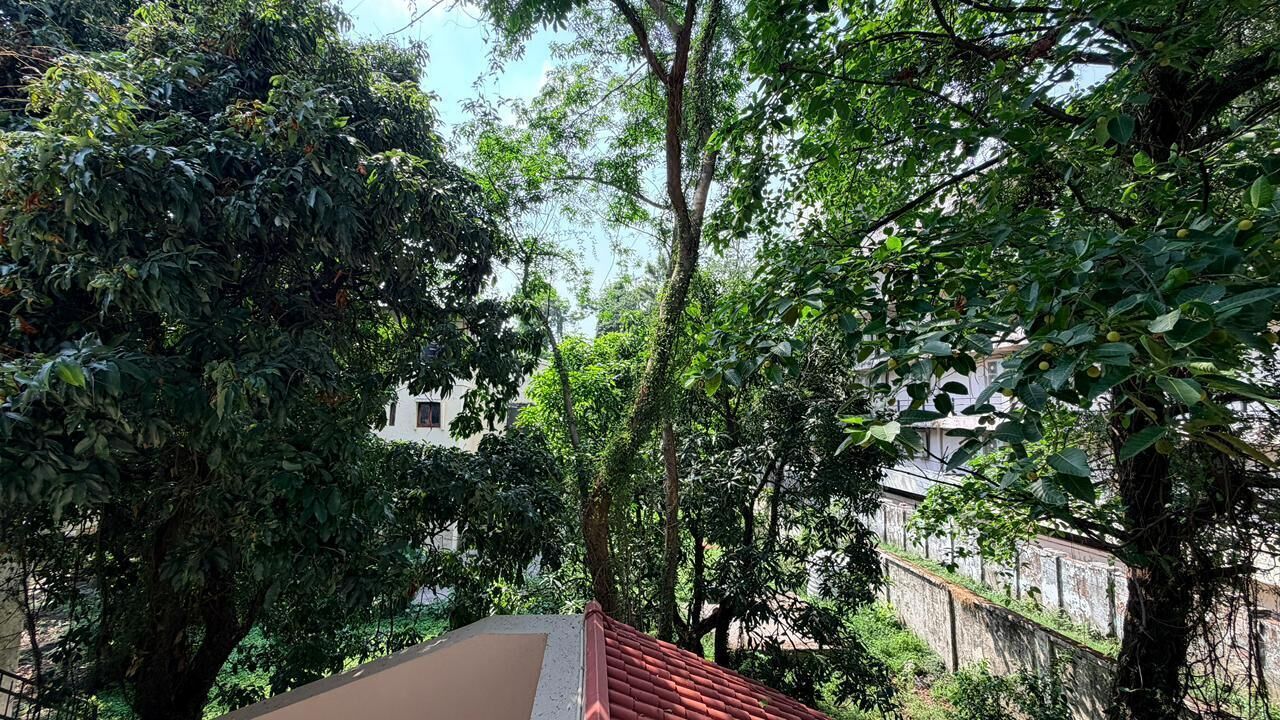 A view of a building with a red roof, surrounded by dense green foliage.