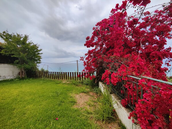 A grassy area with a fence, a tree, and red flowers.