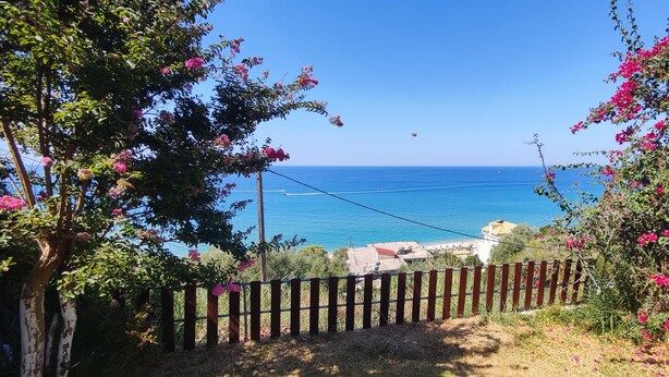 Vista sulla costa con una recinzione in legno, alberi con fiori rosa e un cielo azzurro limpido.