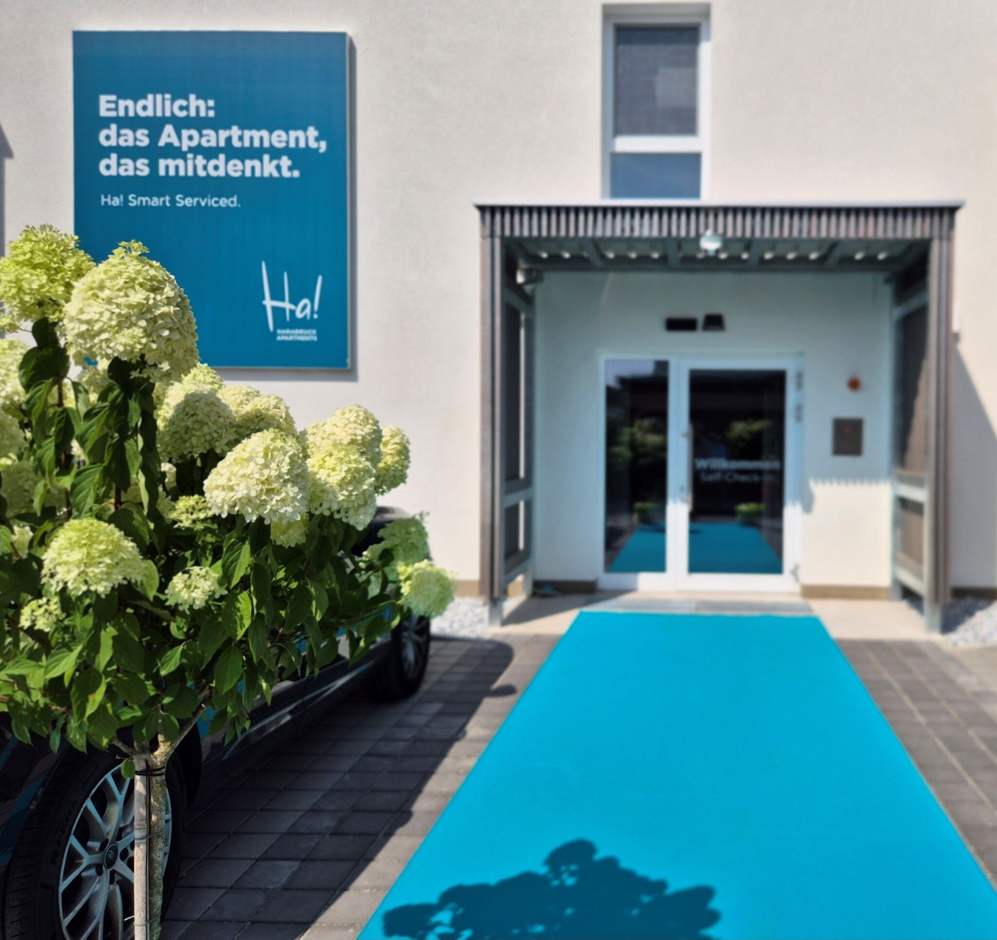 A modern building entrance with a blue carpet leading to a door, a sign with text, and a potted plant with white flowers.