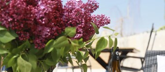 House 4 pers clim closed courtyard & parking near Bioparc Doué La Fontaine & Loire