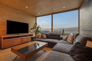 Televisión 