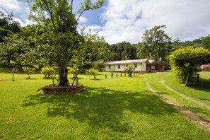 Vista desde la habitación
