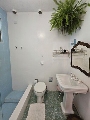 Suite 1 | Bathroom | Combined shower/tub, deep soaking tub, rainfall showerhead, hair dryer