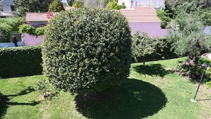 Un jardín bien cuidado con un seto alto y frondoso, un césped impecable y un edificio con tejado de tejas rojas al fondo.