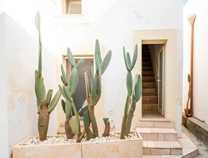 Un jardín de cactus con varias plantas grandes en macetas, una escalera y una pared blanca con una puerta.