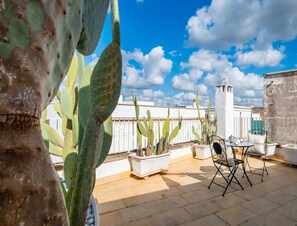 A rooftop terrace with potted cacti, a metal chair, and a table. - Petra Domus Spa & Private Lodge (Veglie)