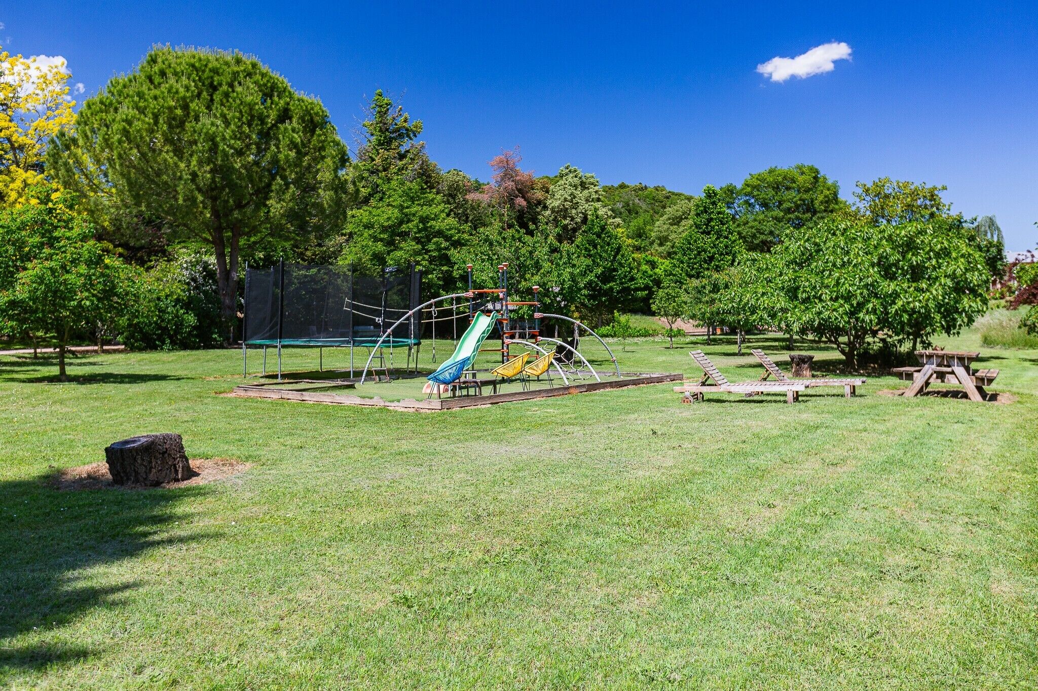 Un parc avec une aire de jeux, des tables de pique-nique et des arbres.