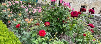 Renovated Silkworm Farm on a 20,000 m² Wooded Estate