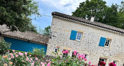 Magnanerie rĂ©novĂ©e sur domaine arborĂ© de 20 000 mÂČ