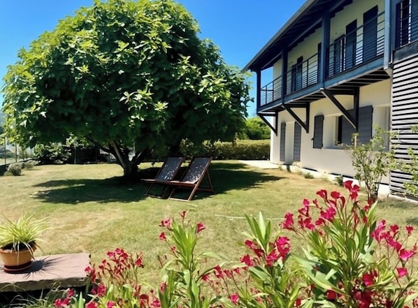 Une maison avec un grand arbre, une pelouse et deux chaises longues.
