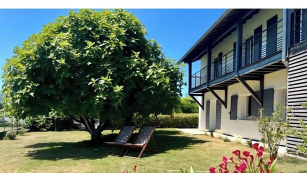Un edificio con un grande albero, un prato e una zona piscina.