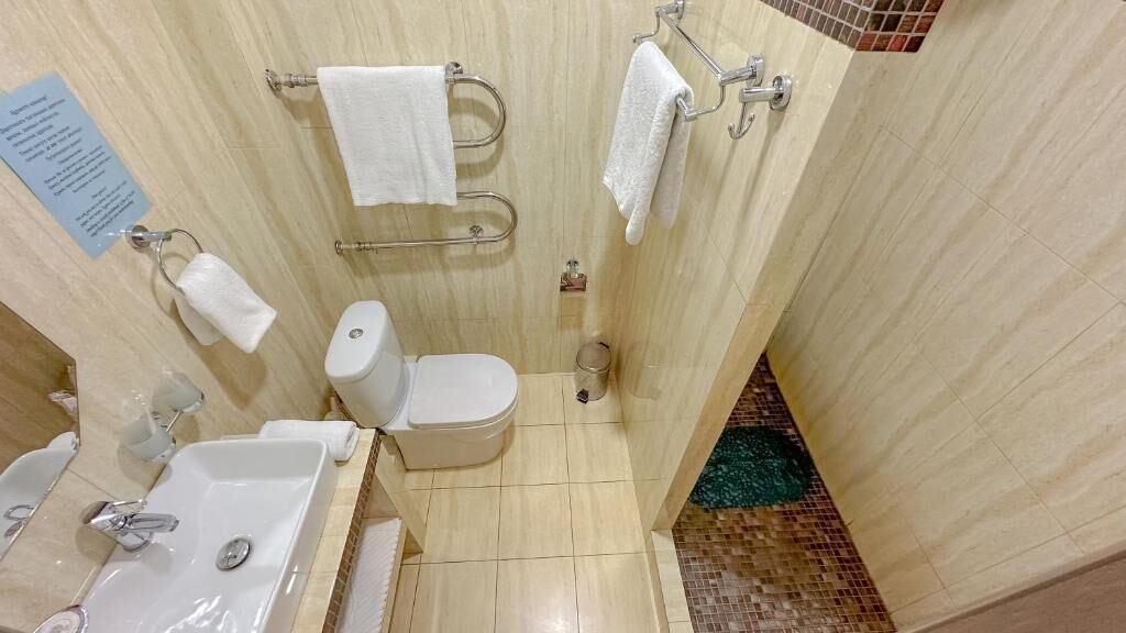 A bathroom with a sink, toilet, and handrails.