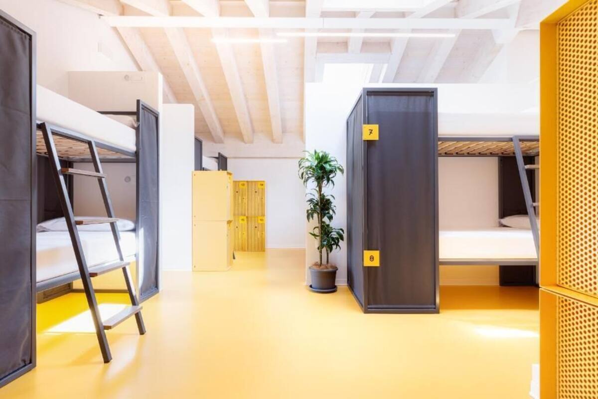 Une chambre de dortoir avec des lits superposés, une plante en pot et un sol jaune.