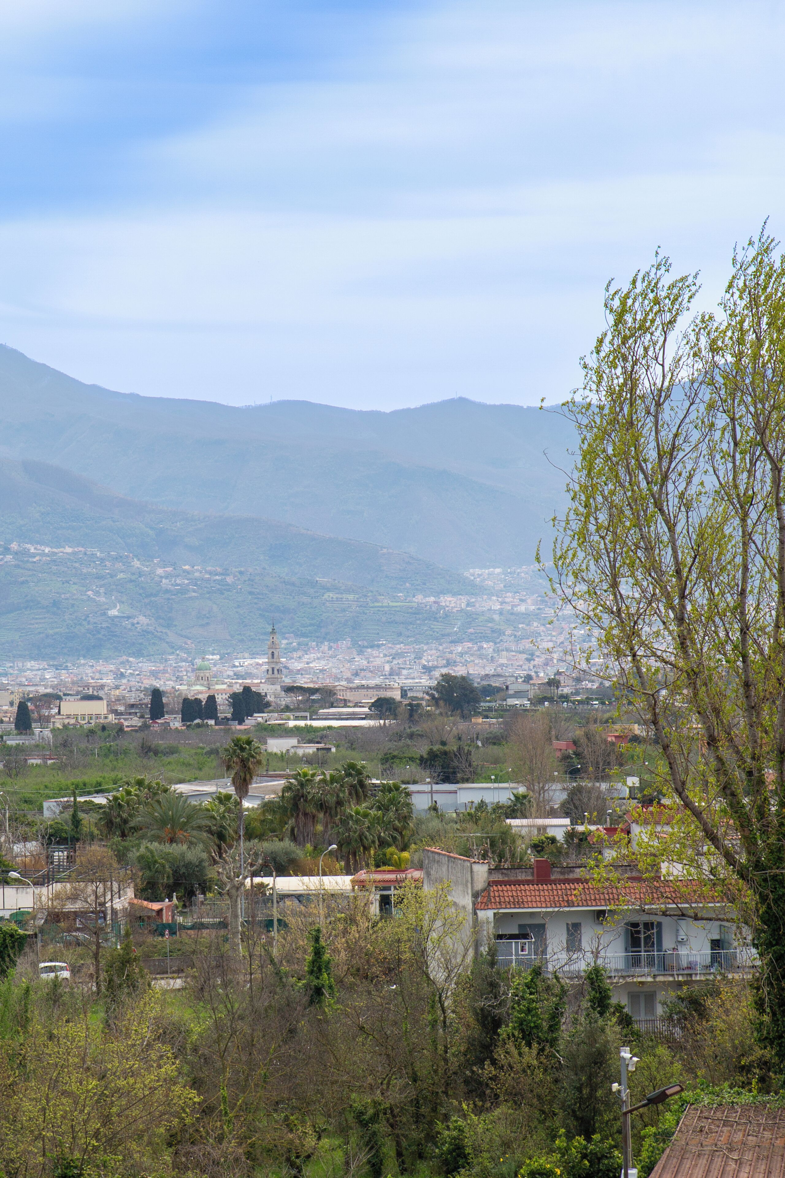 A residential area with houses, a prominent church with a dome, and mountains in the background.