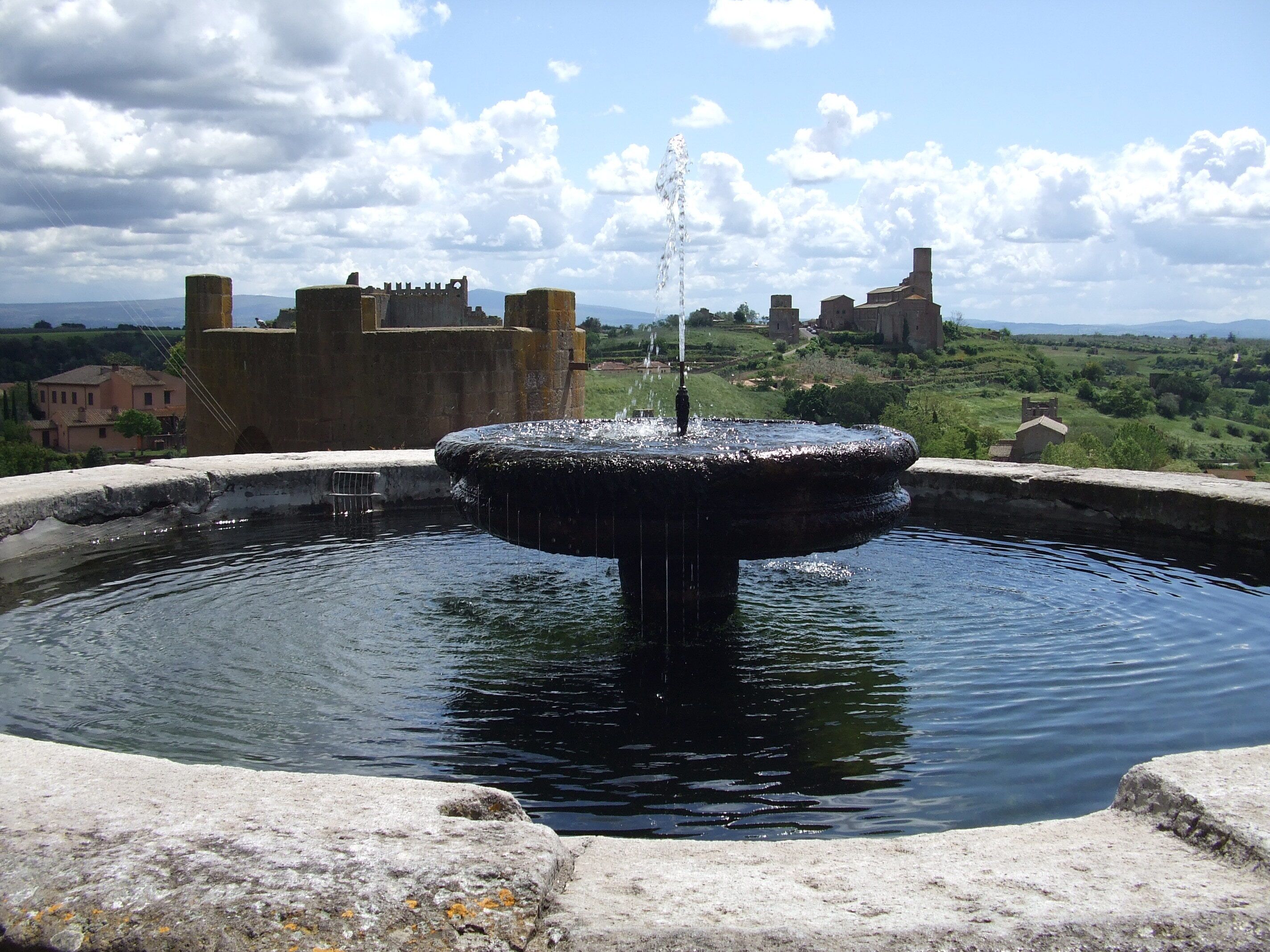 Een historieke fontein met een rond bassin, omringd door stenen muren en een kasteel op de achtergrond.