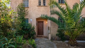 Un edificio con ingresso in pietra, una porta in legno e un piccolo giardino con una palma.