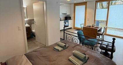 Studio Happy Life - peace, mountain views & perfect location near Interlaken