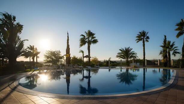 A swimming pool with a clear view of the surrounding palm trees and a distant building.
