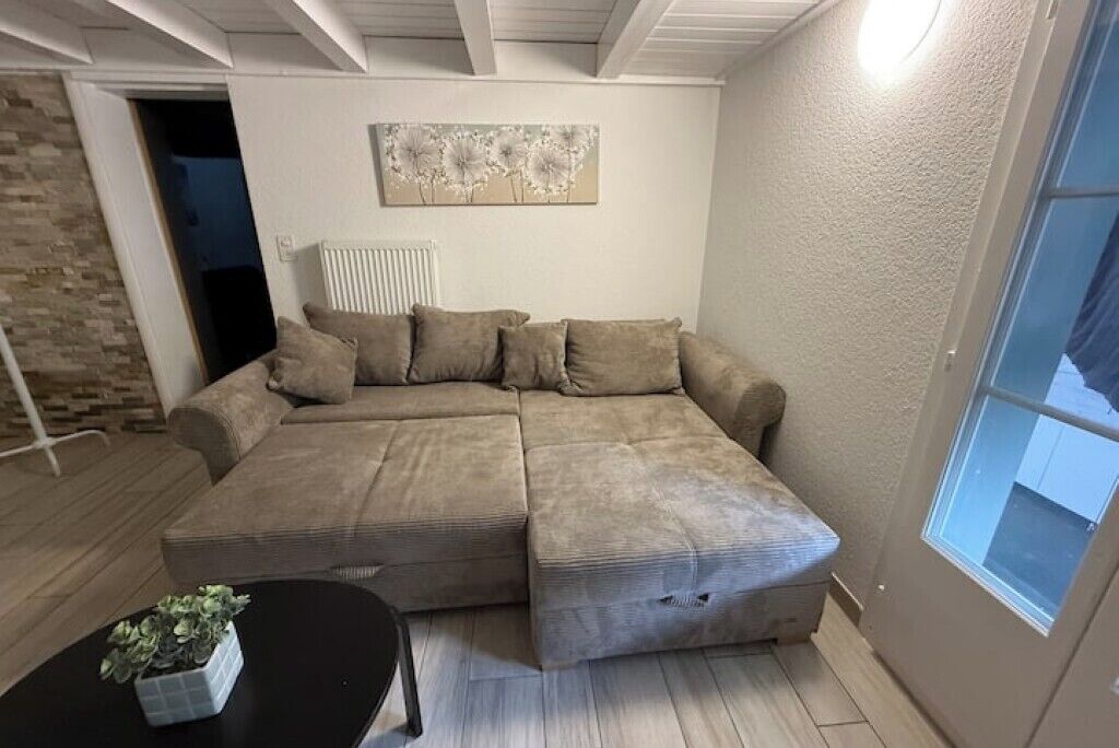 A sectional sofa in a room with a radiator, a potted plant, and a window.