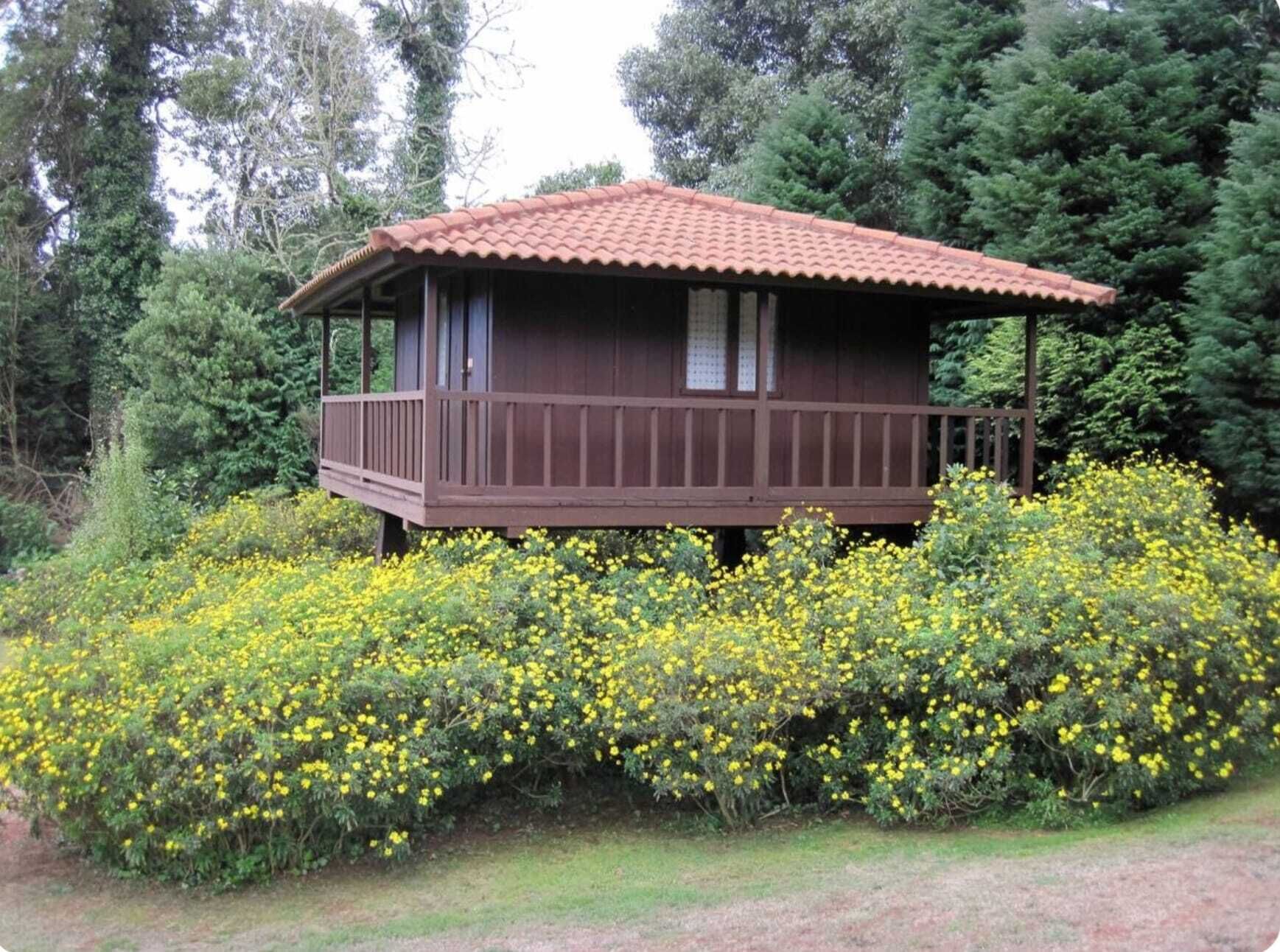 Eine Holzhütte mit rotem Ziegeldach, umgeben von dichten, gelb blühenden Büschen.