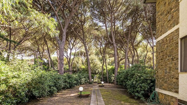 Un chemin de pierres qui traverse un jardin où la végétation est luxuriante et où se dressent de nombreux arbres.