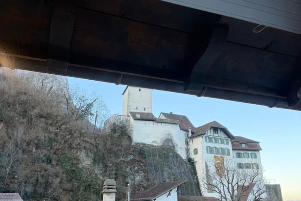 Un bâtiment qui ressemble à un château, avec une tour imposante, entouré d’arbres et d’autres constructions.