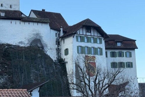 Happy Life 2-20min Interlaken-Panoramic view of mountains