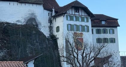 Happy Life 2-20min Interlaken-Panoramic view of mountains