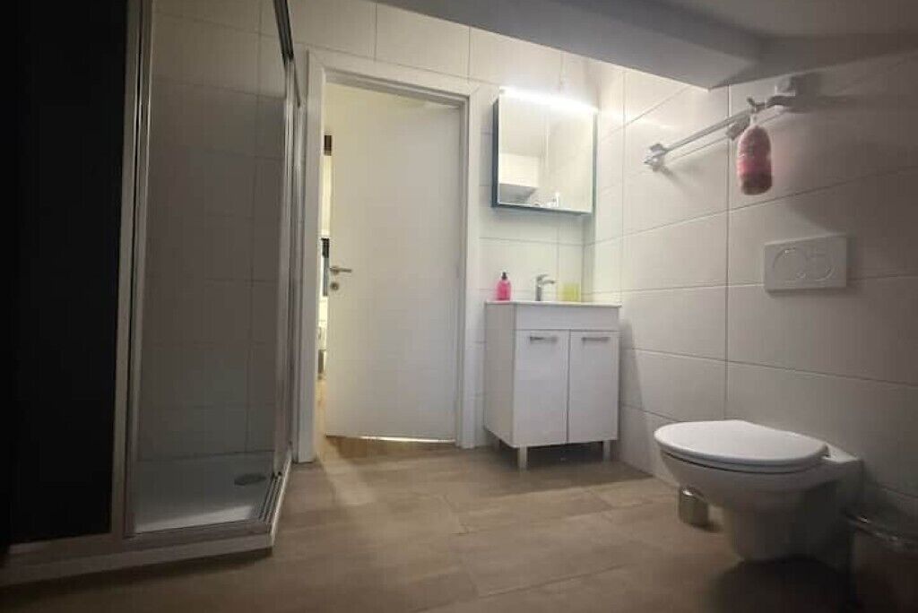 Shower, hair dryer, soap