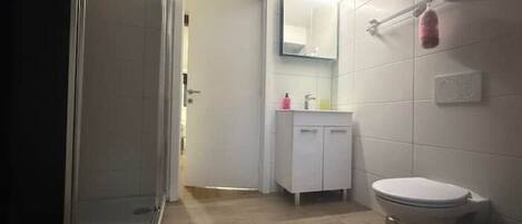 Shower, hair dryer, soap