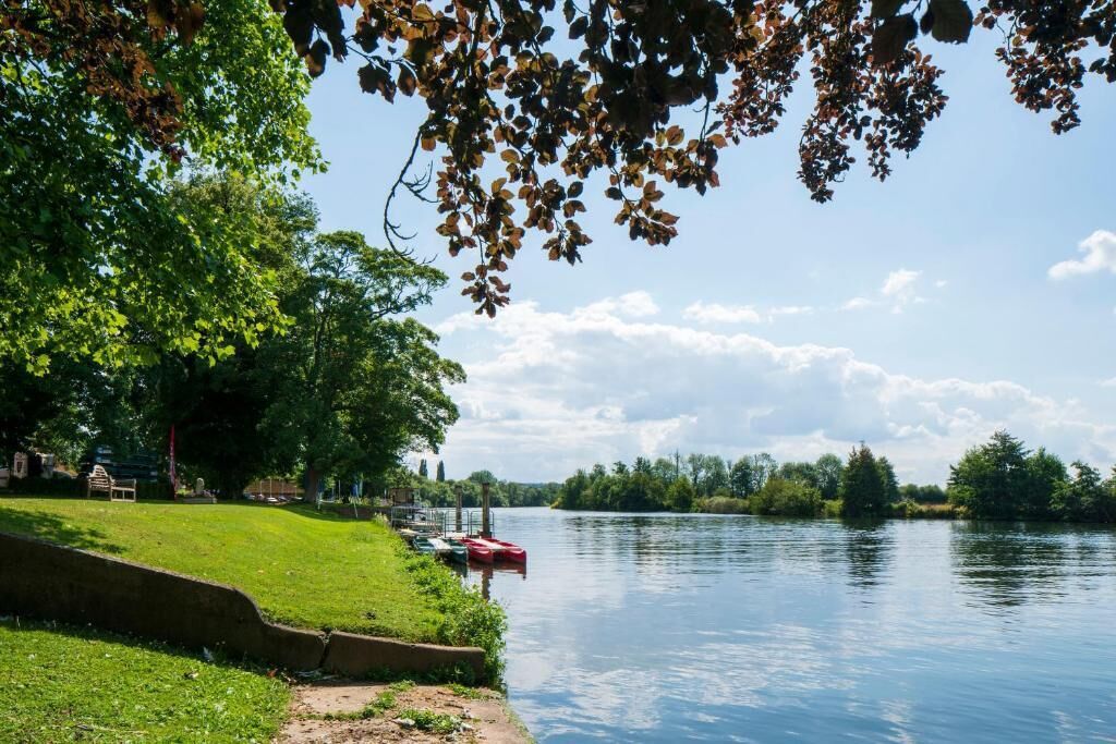 Un río tranquilo con barcos, una orilla cubierta de hierba y árboles.