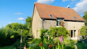 Une maison avec un toit en pente, une fenêtre bien visible et un jardin où poussent différentes espèces de plantes.