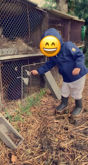 Enceinte de l’hébergement