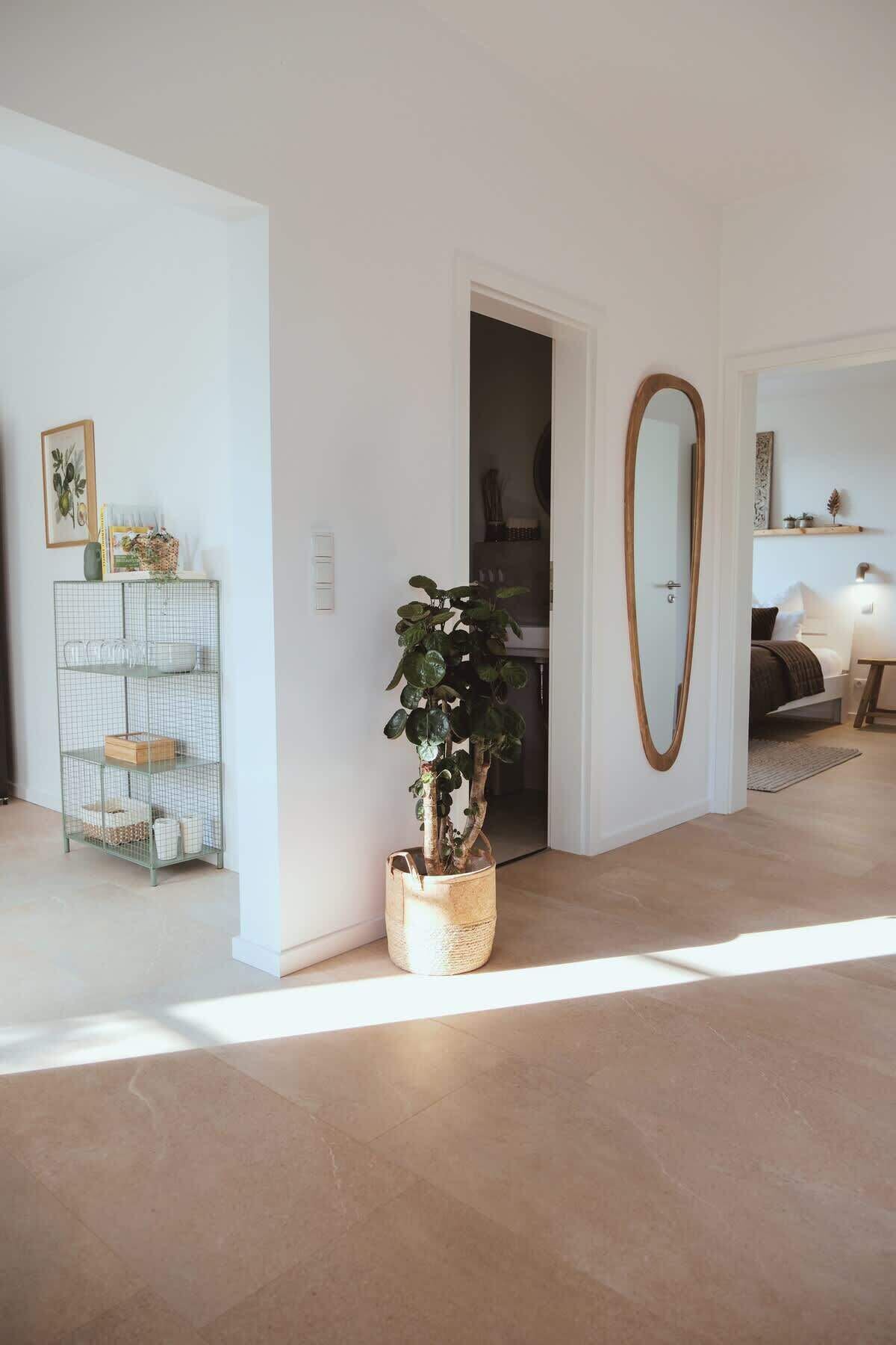 A living room with a potted plant, a wire shelf, and a large mirror.