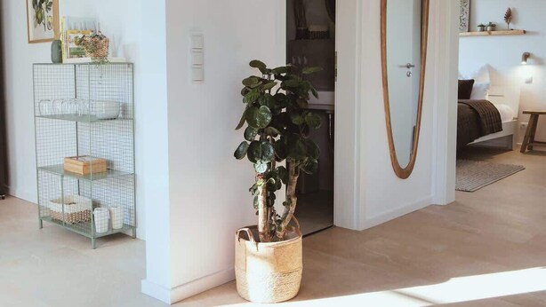 Uma sala de estar com uma planta em vaso, uma estante de arame e um espelho grande.