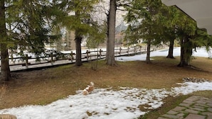 A snow-covered pathway with a dog, trees, and a wooden fence in a park-like setting. - Casa Verocai Classic Retreat in Cortina (Cortina d'Ampezzo)