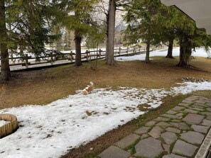 Un sendero cubierto de nieve con un perro, árboles y una valla de madera en un entorno similar a un parque.