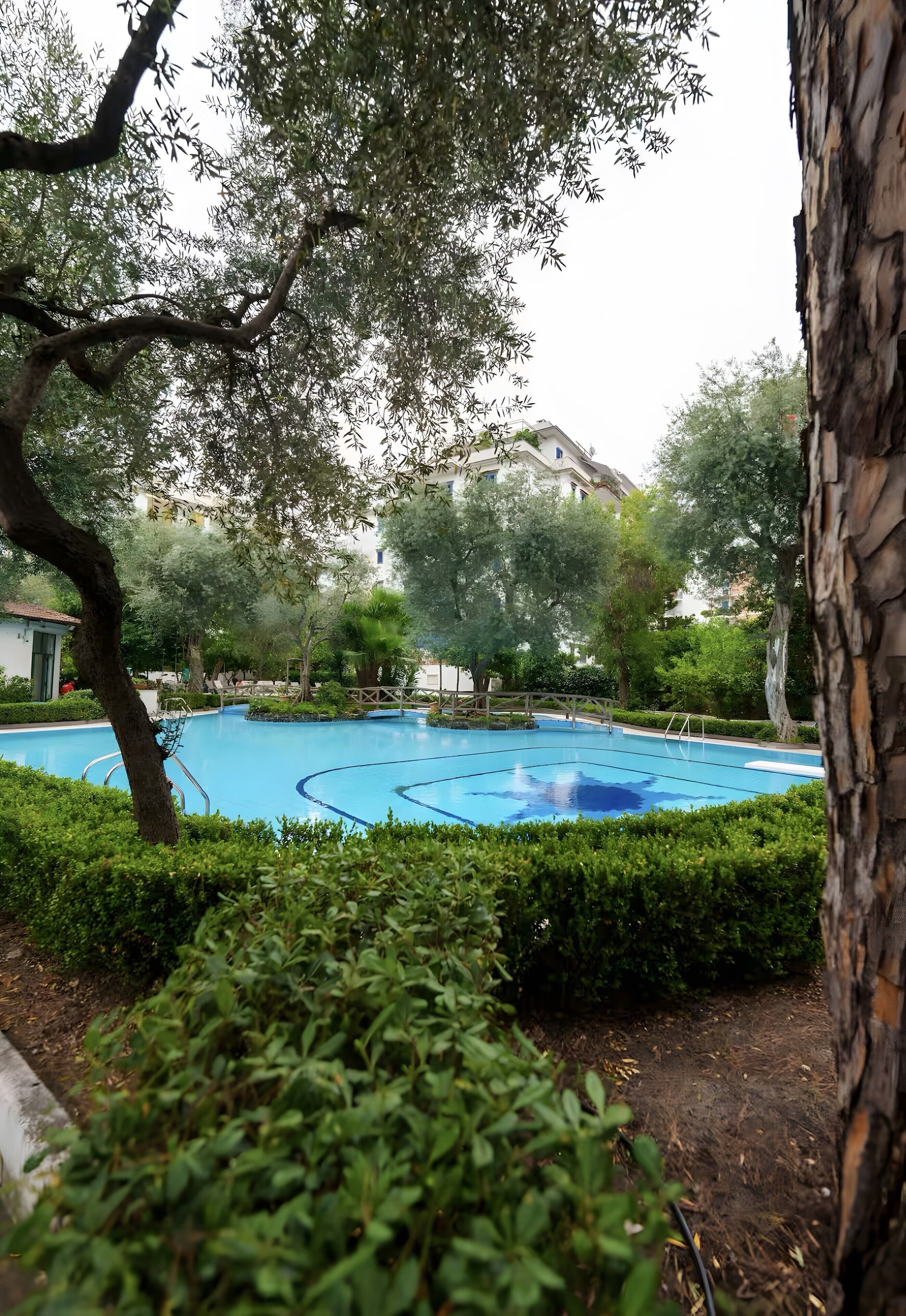 A swimming pool surrounded by trees and bushes, with a building in the background.