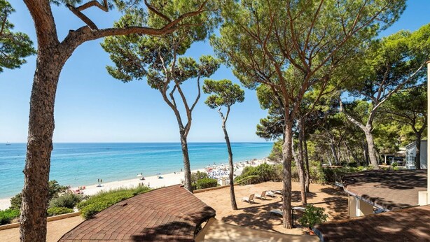 Vista de la playa con árboles, un patio y cielo despejado.